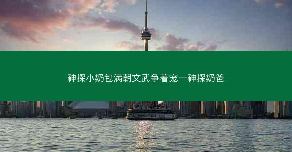 神探小奶包满朝文武争着宠—神探奶爸 神探小奶包满朝文武争着宠—神探奶爸