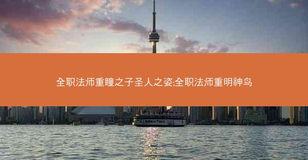 全职法师重瞳之子圣人之姿;全职法师重明神鸟