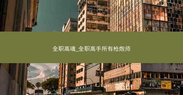 全职高魂_全职高手所有枪炮师