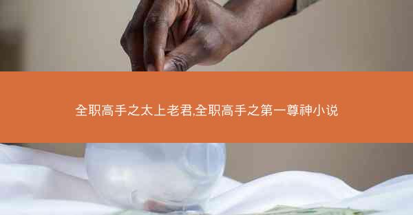 全职高手之太上老君,全职高手之第一尊神小说